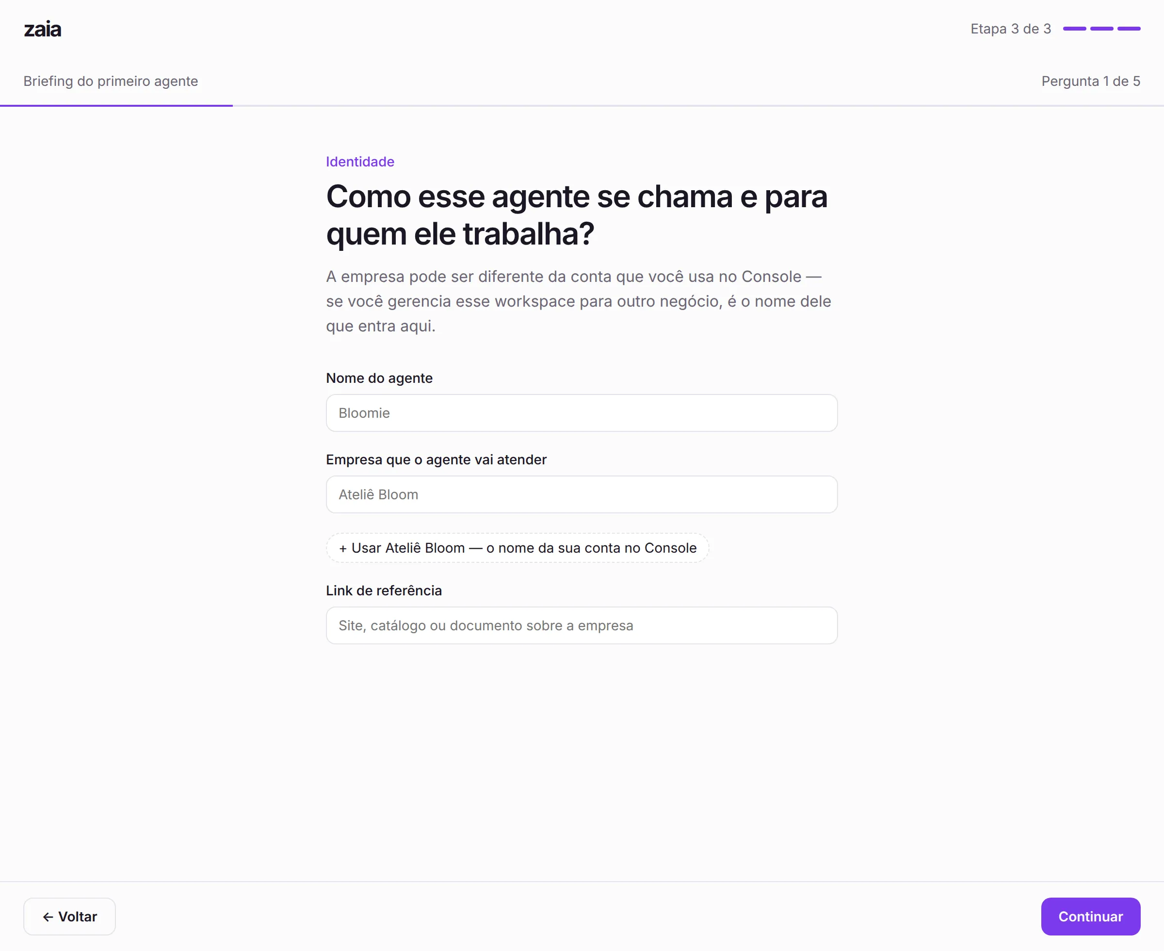 Primeira pergunta do briefing, com nome do agente e empresa